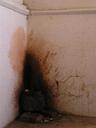 Many corners look like this one in India. If one person spits their betel nut chew in the corner, everyone will follow.